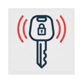 BLOKADY / IMMOBILIZERY